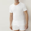 Heren Katoenen T-shirt - Ronde Hals met korte mouwen - 100% katoen. Round Neck T-shirt