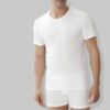 Heren Katoenen T-shirt - Ronde Hals met korte mouwen - 100% katoen