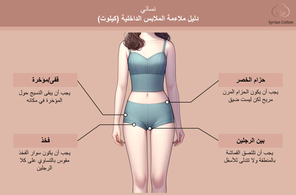 دليل ملاءمة الملابس الداخلية للنساء موضح يبرز مكان القماش المثالي